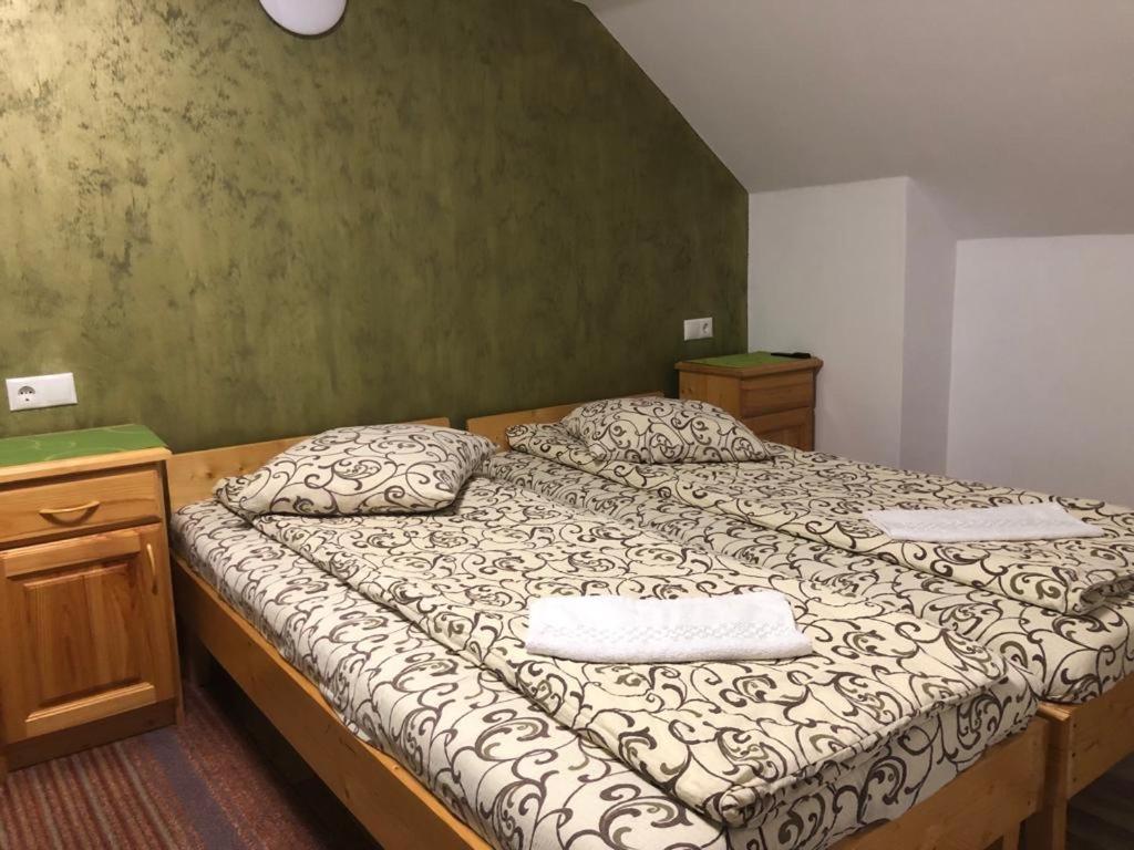 Pensiunea Razvan Gura Rîului Extérieur photo